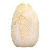 Chinese Cabbage 3D Scan Retopo